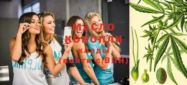 ешки Горняк